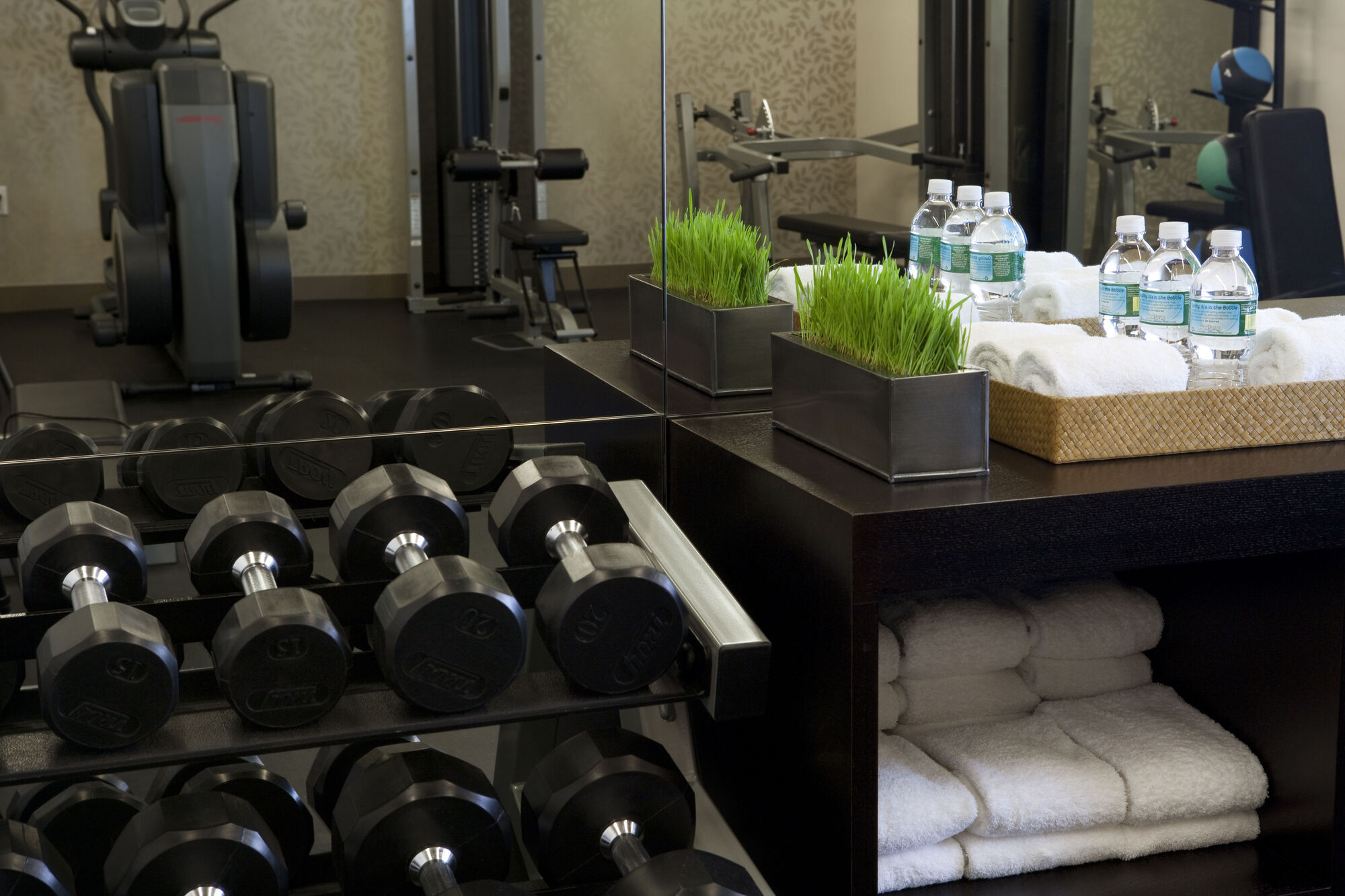 The Shelburne Sonesta New York Hotel Facilities photo